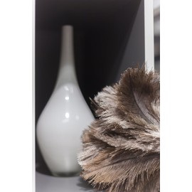 Avian Ostrich Feather Duster with Bamboo Handle