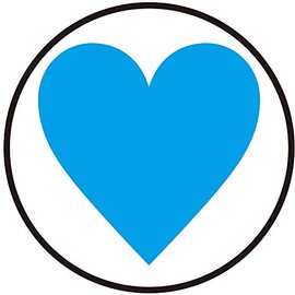 Goggle Case Accessory [Heart] WBL