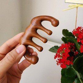 Sigam Market Wooden Wood Head Facial Trapezius Lymph Scalp Gua Sha Massage Comb Acupressure, Protrusion Type / 시감마켓 나무로 우드 머리 얼굴 승모근 림프 두피 괄사 마사지빗 지압, 돌기형