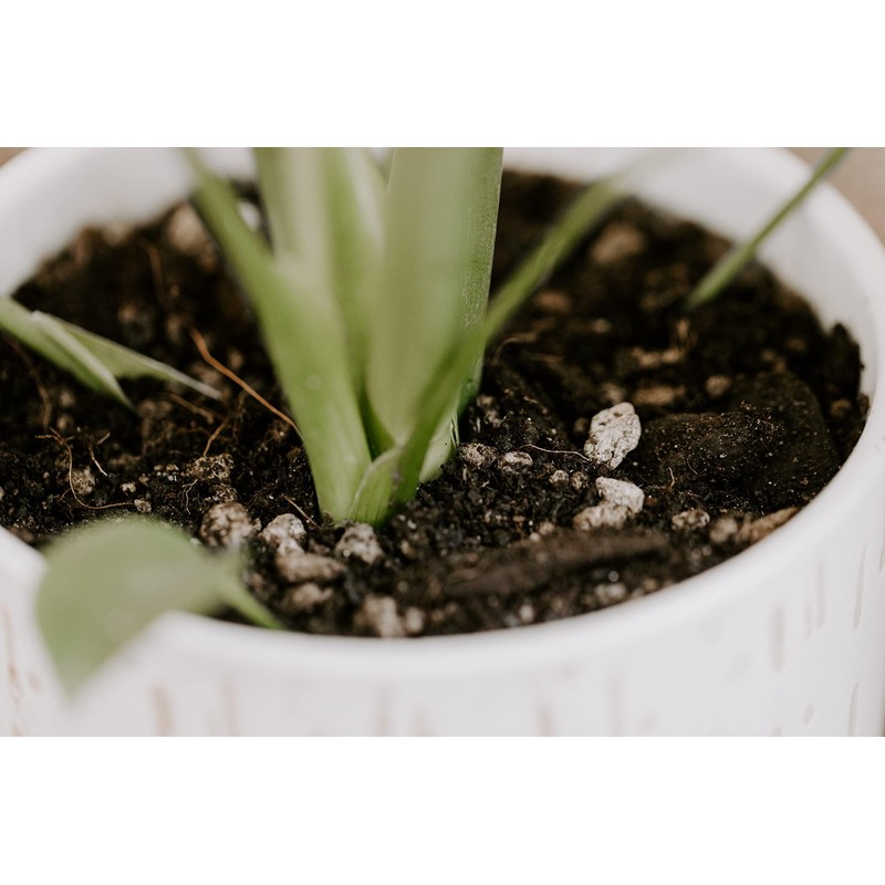 Premium Monstera Potting Soil | Quick Draining, Nutrient Rich Living