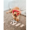 Midlee XO Valentine's Rope Dog Toy