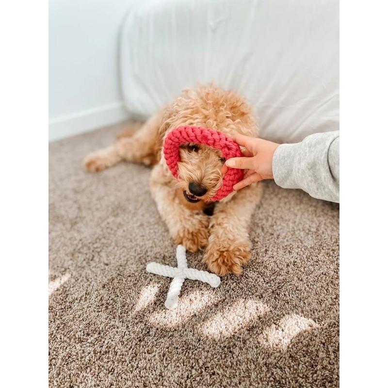 Midlee XO Valentine's Rope Dog Toy