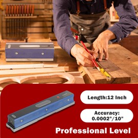 12 Inch Professional Accuracy Level with Box, 0.0002/10 Inch Accuracy Strip Level for Checking the Work of Machinists Toolmakers