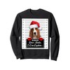 Basset Hound Xmas Dear Santa I Can Explain Funny Christmas