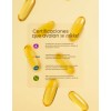 Omega 3 Support 1200 Mg Epa + Dha Epax Libre