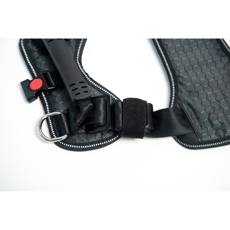 DogMaster 2.0 Dog Safety Belt, Black/Black, Small