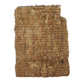 Eucommia Bark (8oz) | Premium Grade Whole Eucommia Bark, Du Zhong, 杜仲, Eucommia ulmoides | Bone Health, Energy, Vitality, Strength, Teeth, Liver, Great for Men and Women!