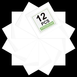 CAREGY Heat Transfer Vinyl HTV for T-Shirts 12x12 Inches 12 Precut Sheetsï¼Whiteï¼