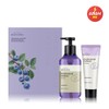 Beyond Professional Defense Shampoo Basic Special / 프로페셔널 디펜스 샴푸 베이직 기획