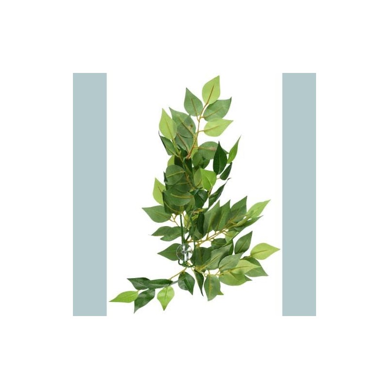 Exo Terra Silk Terrarium Plant, Small, Ficus