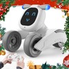 Dnenellr Robot Toy for Children, Remote Controlled Robot Toy, Programmable,