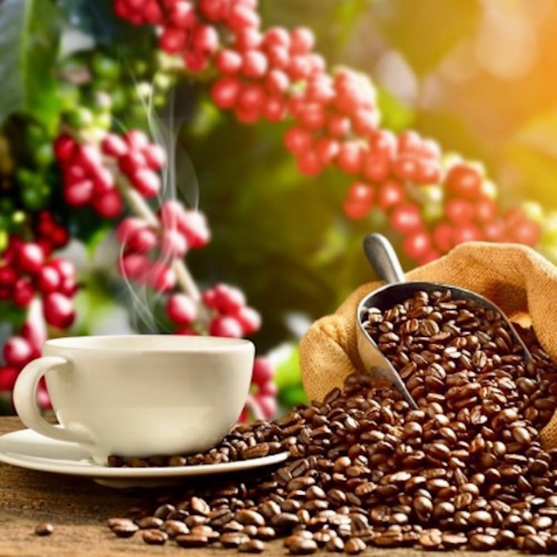 Lion Coffee French Roast, Dark Roast Ground Coffee, A Taste