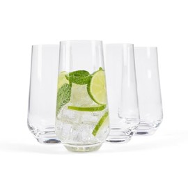 Larder & Vine Classic Tall Glass Tumbler (4-Piece Set)