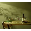 EVA SOLO | Decanter carafe 25oz | 100% drip-free |