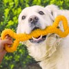 Durable Dog Chew Toys Puppy Teething Toy Dog Chews Toys