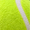 Giant Inflatable Tennis Ball for Dogs – 7 & 9.5