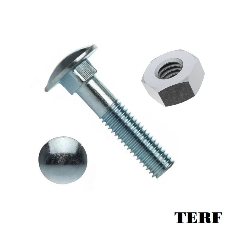 TERF® M8 X 50mm Cup Square Carriage Bolt and Nut