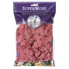 SuperMoss 25126 Reindeer Mosss Preserved, 80.75 Cubic inch (in3) Bag