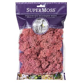 SuperMoss 25126 Reindeer Mosss Preserved, 80.75 Cubic inch (in3) Bag (Appx. 2oz), Dusty Rose
