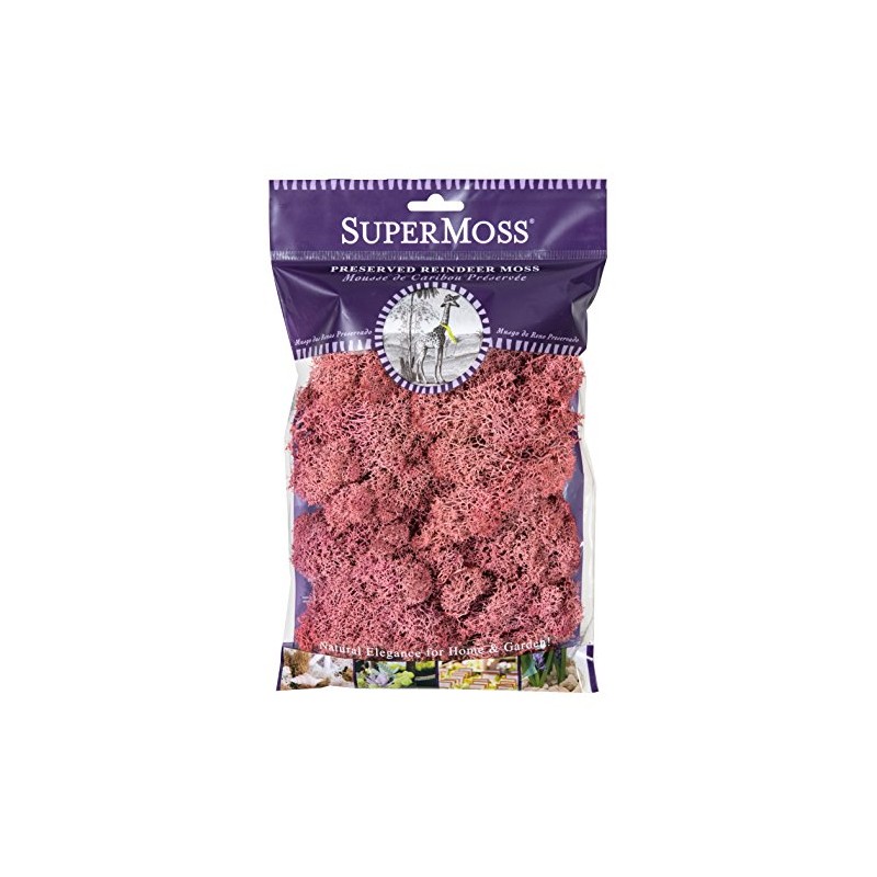 SuperMoss 25126 Reindeer Mosss Preserved, 80.75 Cubic inch (in3) Bag