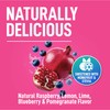 Keppi Electrolytes Powder Packets – Blueberry Pomegranate 30 Servings –
