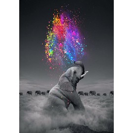 5D Diamond Paintings Kits, Colorful Star Gray Elephant Full Drill Art Crystal Diamond Embroidery Cross Stitch Paintings Arts, DIY Craft Paintings Kits for Adults Kids, Home Wall Decor, 30x40cm