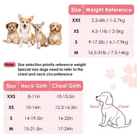 Lukovee Puppy Harness and Leash Set, No Pull Lightweight Pet Harness Vest for Puppy Small and Medium Size Dog, Adjustable Soft Suede Dog Leash Set (Pink-S)