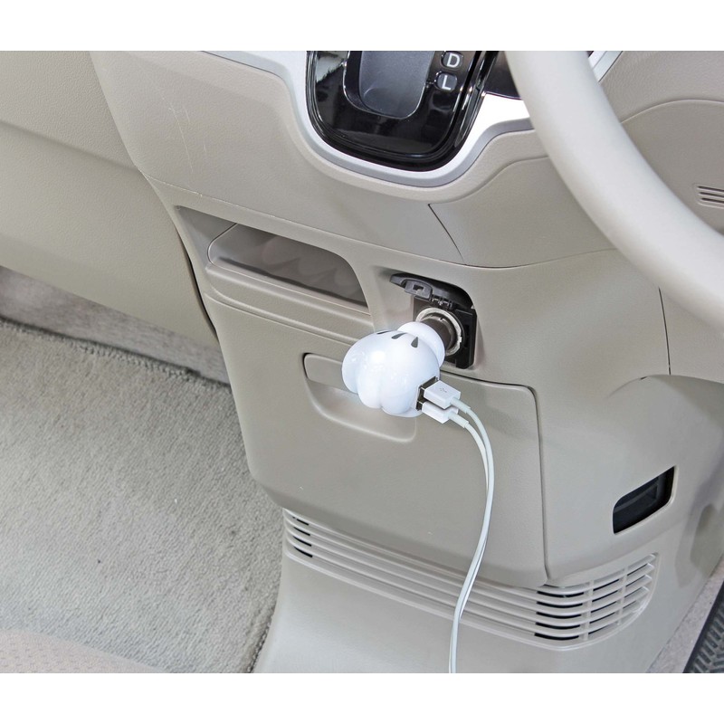 ナポレックス(Napolex) 車用シガーソケット USB端子2口 USB2 4A 12V車専用ヒューズ付10A(30mm) 通電モニター付 タブレット スマホ同時充電可 カー用品