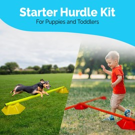 GSi Agility Training Hexa Cones - 20 Cones with 4 Colors Option - for Kids and Dog Training - Convertible Cone/Hurdle