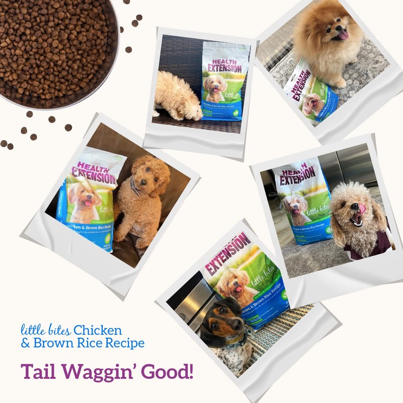 Health Extension Little Bites Dry Dog Food, Chicken & Brown