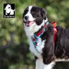 WINHYEPET True Love No-Pull Dog Harness,Adjustable Outdoor Vest Reflective Nylon