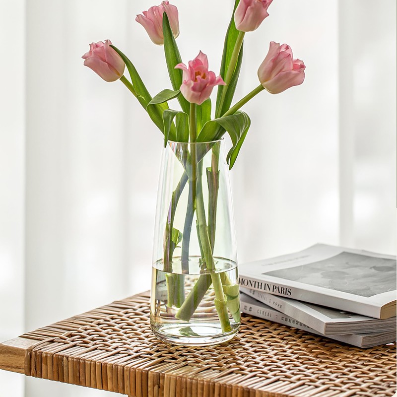 FANTESTICRYAN Modern Glass Vase Irised Crystal Clear Glass Vase for