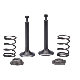 BMP Intake Exhaust Valve Spring For Champion 100891 9375/7500 Watts Generator