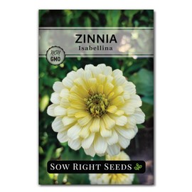 Sow Right Seeds - Isabellina Zinnia Seeds for Planting - Non-GMO Heirloom Packet to Plant & Grow an Outdoor Home Flower Garden - Fast Growing Pastel Yellow Blooms to Cut and Come Again - Annual (1)