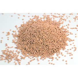 Cherry Stones Loose for Cherry Stone Cushion Heat Cushion Cleaned Cherry Stones 1 kg