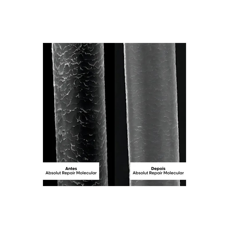 Champ Molecular Absolut Repair 1500ml LOral Professionnel