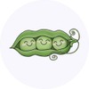 24 x 40mm Round 'Peas in A Pod' Stickers (SK00042214)