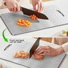 AstraGlam Titanium Chopping Board Set 25 x 15 cm -