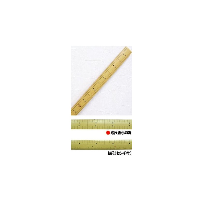 [Adam Measurement] Ace Bamboo The Whale 1 No. 287