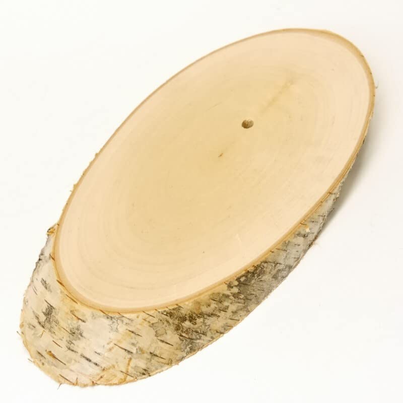 Birch Trophy Sign Deer Antlers Tree Disc Tree Sign AF