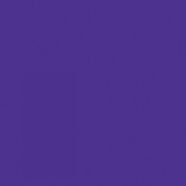 Rust-Oleum 249113 Painter's Touch 2X Ultra Cover, 12 Ounce (Pack of 1), Gloss Grape