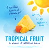 Dole Tropical Fruit in 100% Fruit Juice with Pineapple &