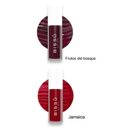 Kit De Brillo Lip Oil Con Vitamina E Bissu