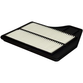 FRAM Extra Guard CA11450 Replacement Engine Air Filter for Select 2013-2018 Nissan Altima (2.5L) Models, Provides Up to 12 Months or 12,000 Miles Filter Protection