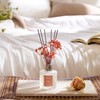 Airkeep Reed Diffuser Set,3.38 fl oz (100 ml) - English