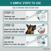 Jeyssui Activated Charcoal Gel for Dogs & Cats, 60mL Pet
