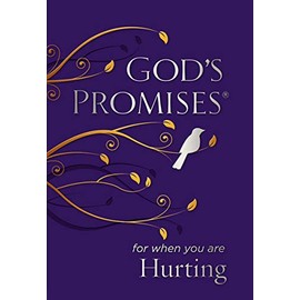 God's Promises for When You are Hurting