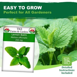 TKE Farms & Gardens - Lemon Balm Seeds for Planting, 250Mg, 300+ Heirloom, Non-GMO Seeds, Instructions Included to Grow This Fragrant Medicinal Herb, Melissa officinalis, Qty 1