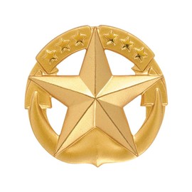 Navy Command At Sea Insignia