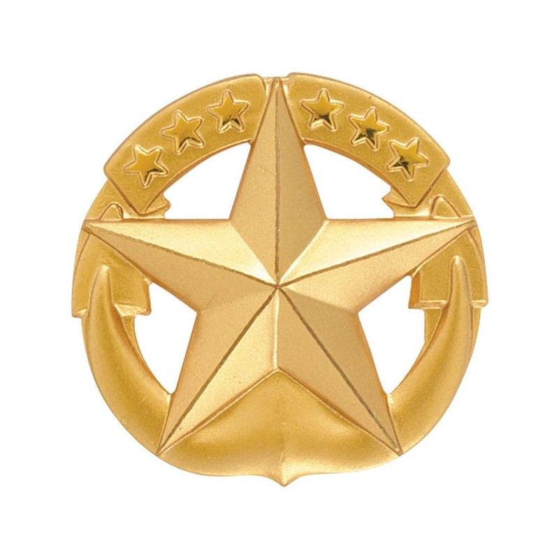 Navy Command At Sea Insignia